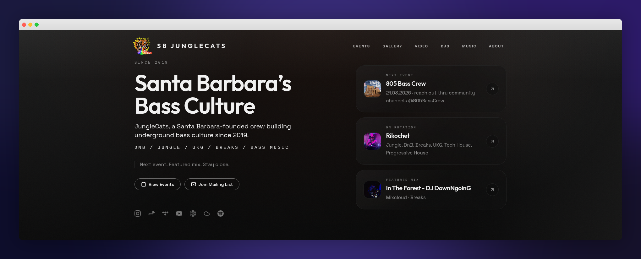 JungleCats homepage showing branded event experience, featured content, and subscriber capture